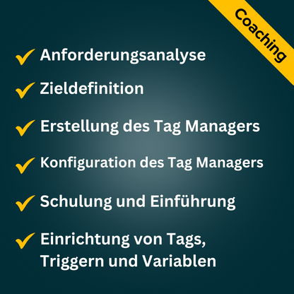 Google Tag Manager - 1 Stunde Onlineberatung