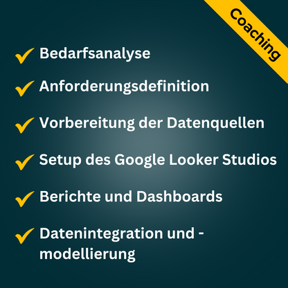 Google Looker - 1 Stunde Onlineberatung