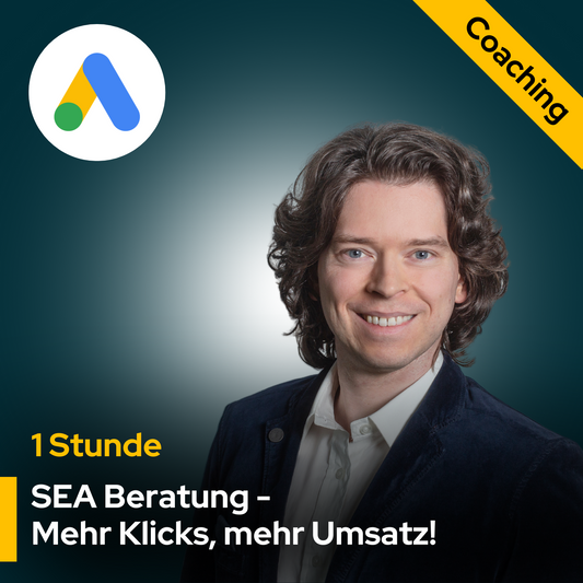 SEA - 1 Stunde Onlineberatung